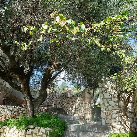 The Cerulean - The Concord Of Blue And וילה Mousata